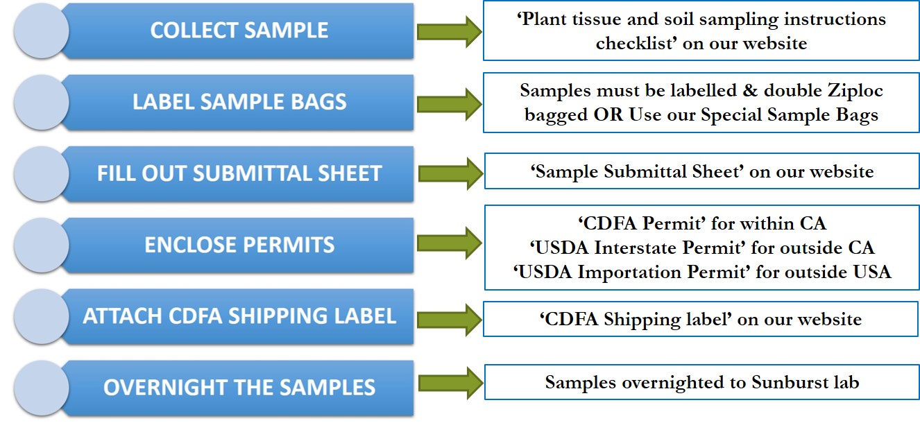 sampling checklist sunburst plant disease clinic sample of check list